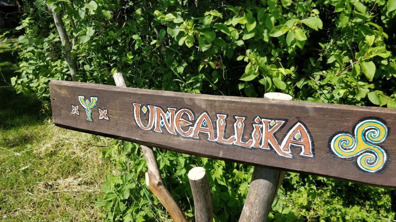 Uneallika Puhkemaja-Kuelalistemaja Pae エクステリア 写真
